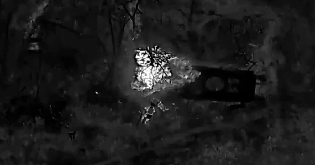 Удары по российским войскам/Скриншот