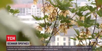 Погода в Україні: настала метеорологічна осінь - на нас чекає тиждень різкого похолодання