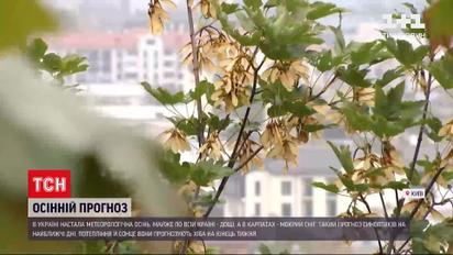 Погода в Україні: настала метеорологічна осінь - на нас чекає тиждень різкого похолодання