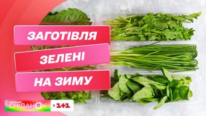 Как правильно хранить зелень и заготавливать ее на зиму – фудброгер Дарья Дорошкевич