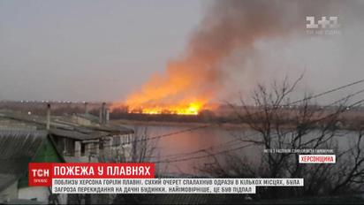 Пожар произошел в плавнях под Херсоном: чрезвычайники подозревают поджог