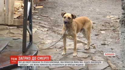 У Львівській області пес до смерті покусав 79-річну жінку, яка принесла йому їсти