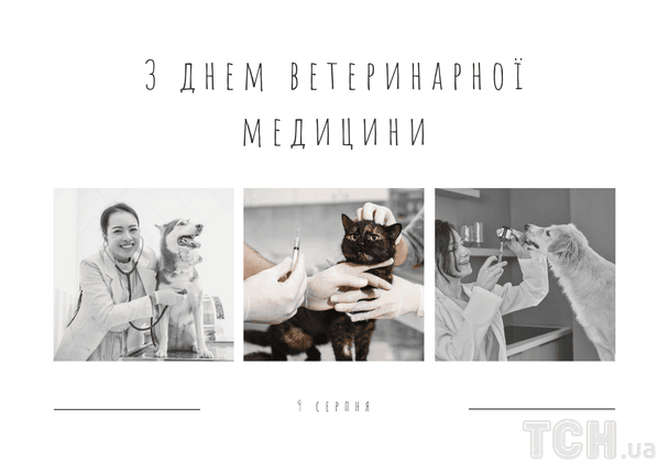 Листівки з Днем ветеринара / © ТСН