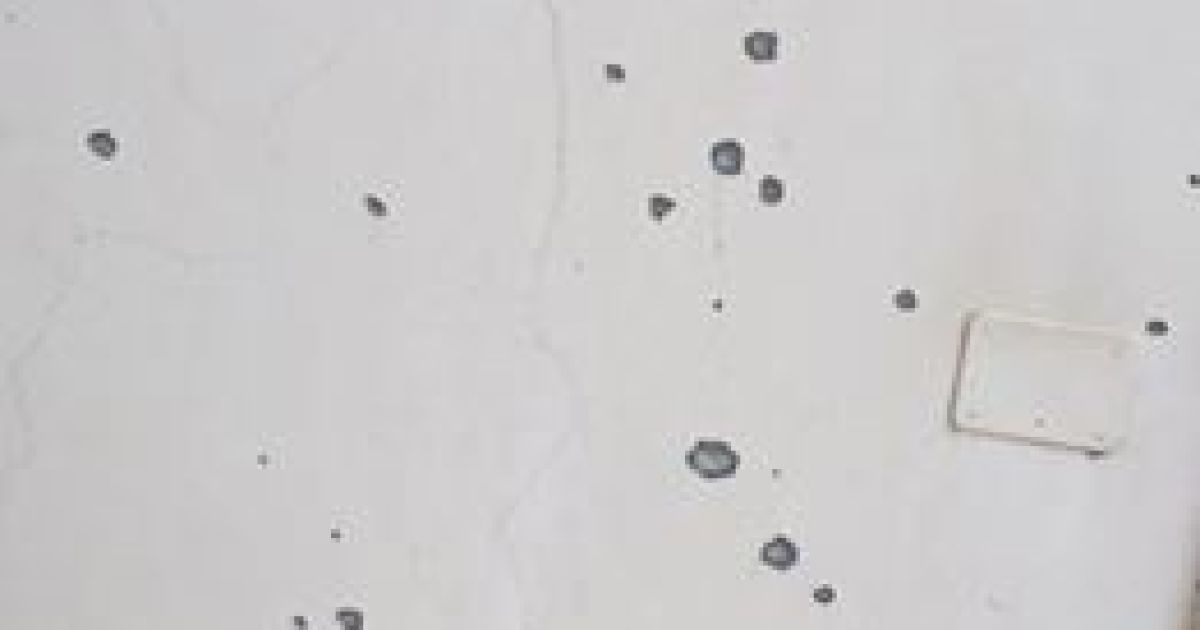 Посольство України у Лівії_5 / © Facebook/Николай Нагорный