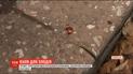 На Киевщине хозяин магазина застрелил вора, который пытался его ограбить