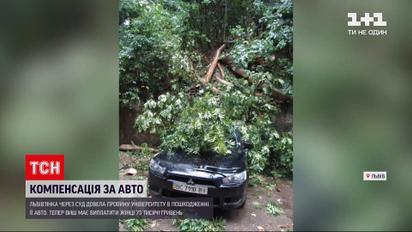 Новости Украины: женщина отсудила компенсацию за поврежденное авто у ВУЗа