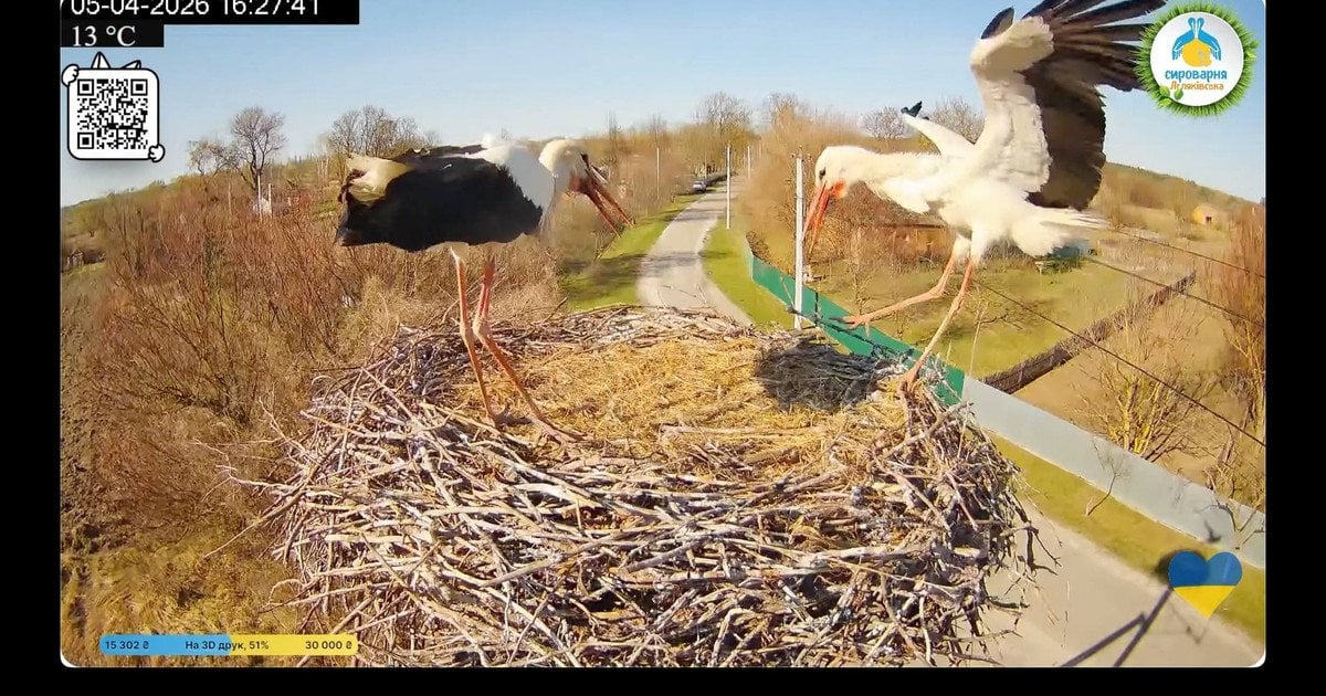 Одарка та Лель