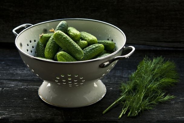 Как засолить огурцы на зиму быстро и вкусно: пошаговые рецепты