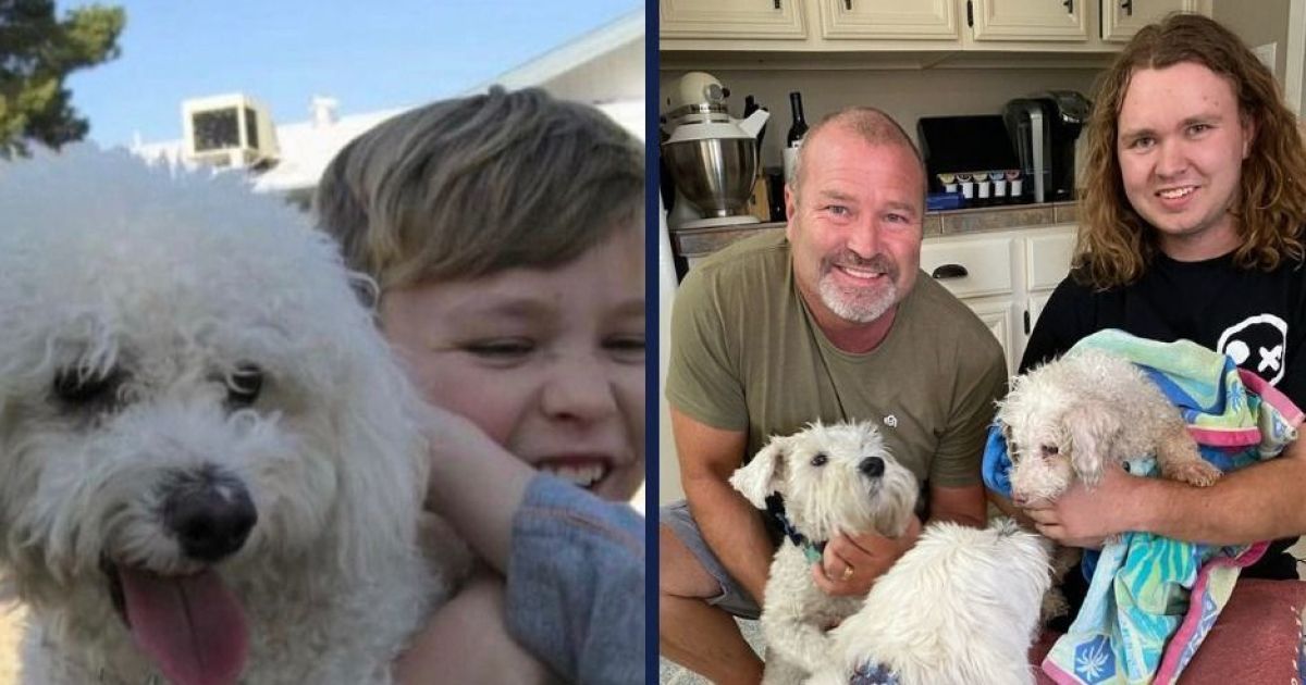 Собака нашлась через 12 лет — ТСН, новости 1+1 — Курьезы