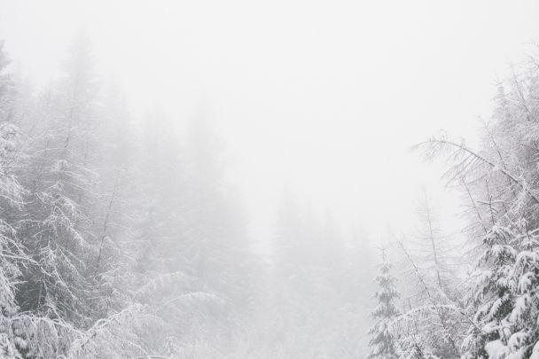 На день Василя сніг йде, значить літо буде гарним / © Pexels