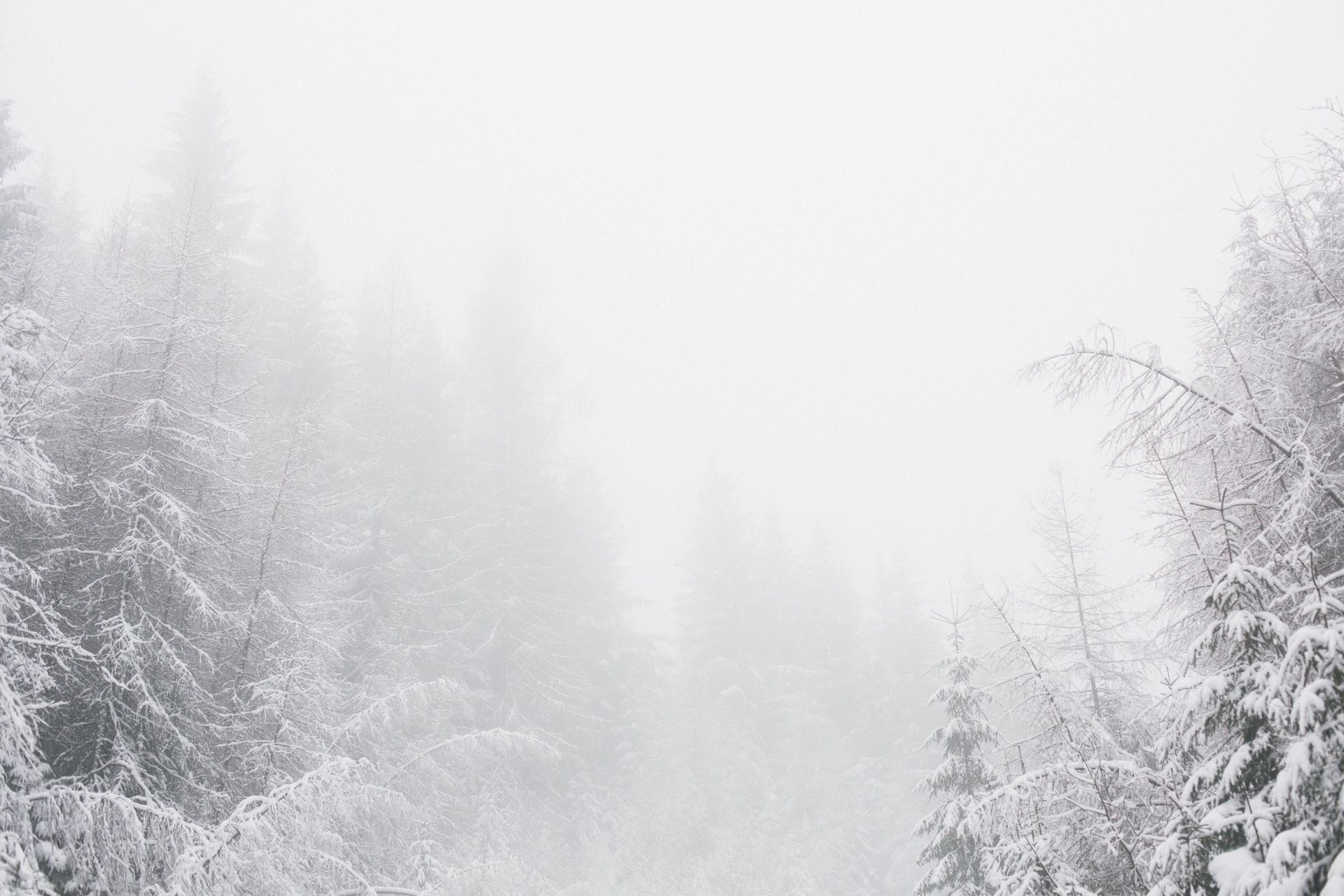На день Василя сніг йде, значить літо буде гарним / © Pexels