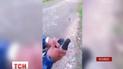Голубь пытался пронести в тюрьму мобильный телефон