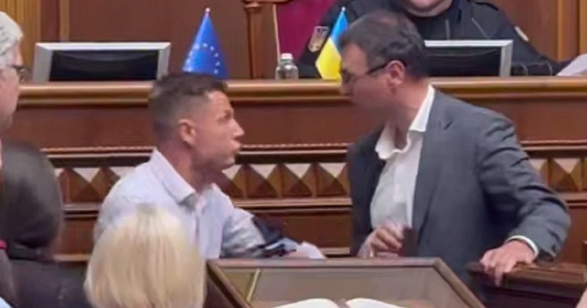 Народные депутаты Алексей Гончаренко и Данил Гетманцев