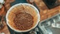 Чи допомагає кавова гуща від мурах