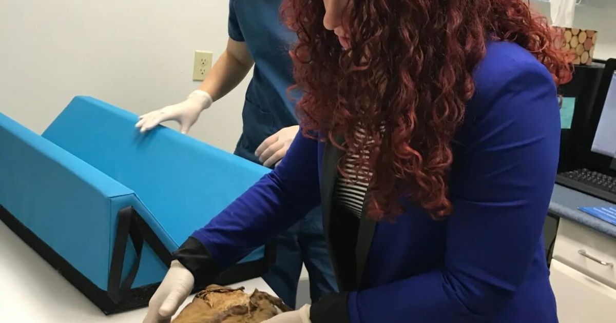 Фото: Cheryl Kawaja/CBC