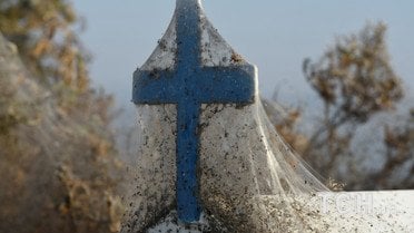 Озеро Вістоніда, Греция / © Reuters