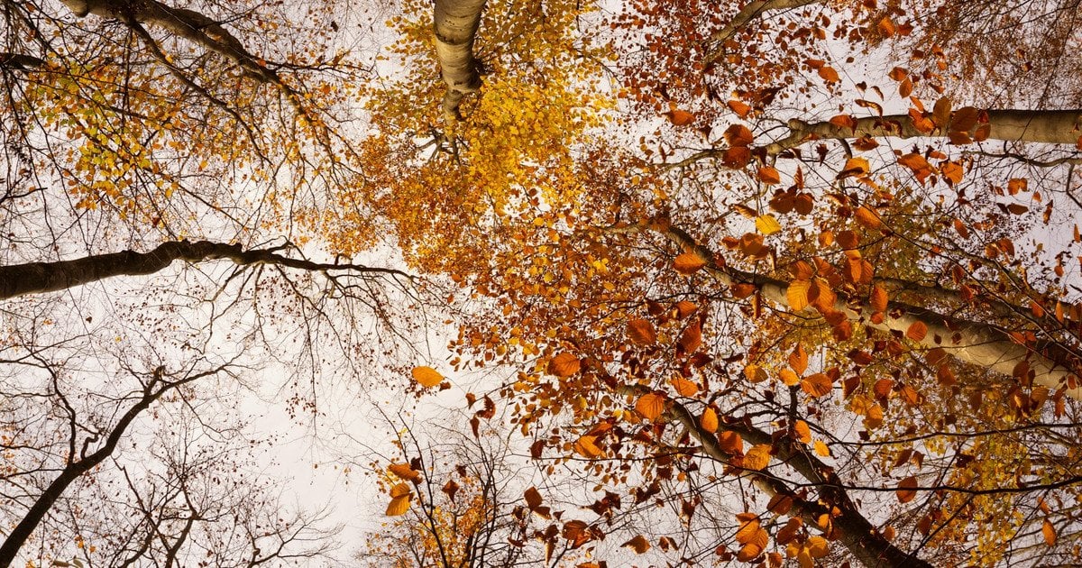 В Україні буде прохолодно