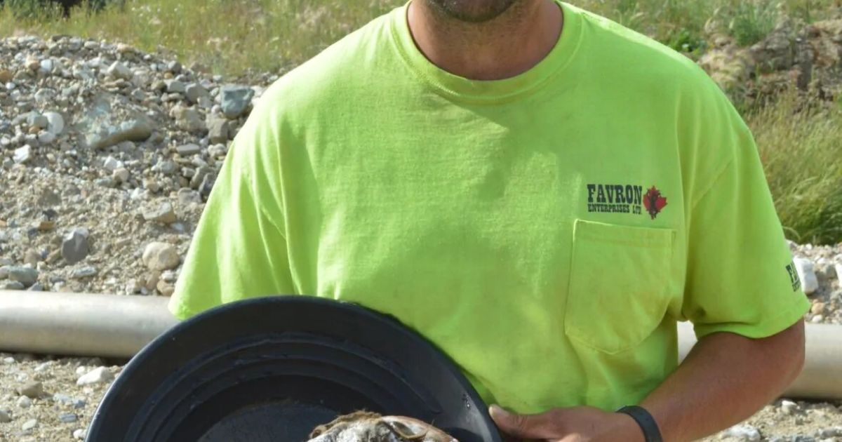 Фото: Cheryl Kawaja/CBC