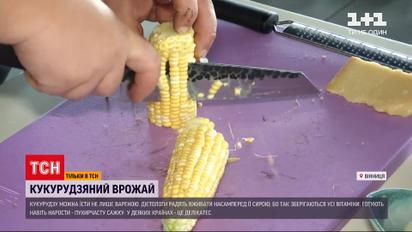 Новини України: сезон варених качанів - чому кукурудзу краще їсти сирою