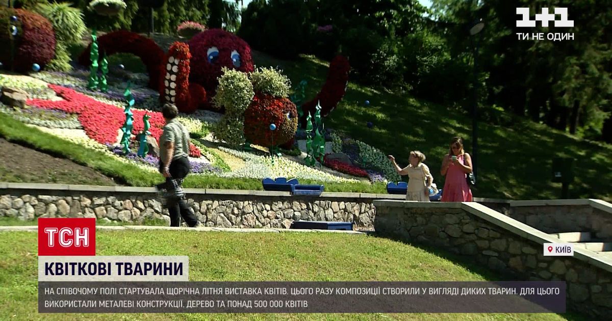 Новини України: на "Співочому полі" в Києві стартувала щорічна літня виставка квітів