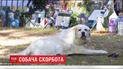 Пес Джорджа Майкла досі чекає свого господаря біля його вівтаря