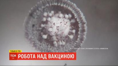 Великі перегони: одночасно на планеті розробляють близько сотні вакцин від коронавірусу