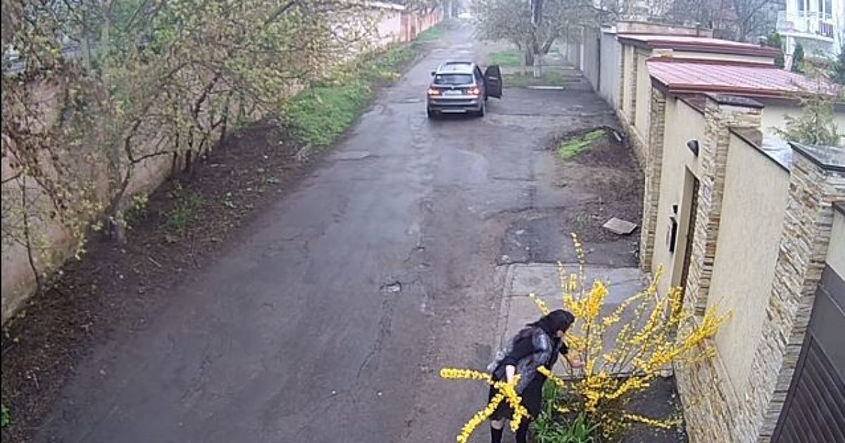 Пользователей Сети возмутило видео, в котором одесситка на BMW обдирает цветущий куст