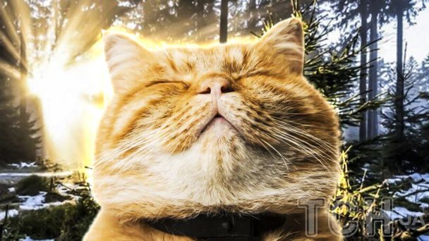 Резкого потепления украинцам ожидать не следует