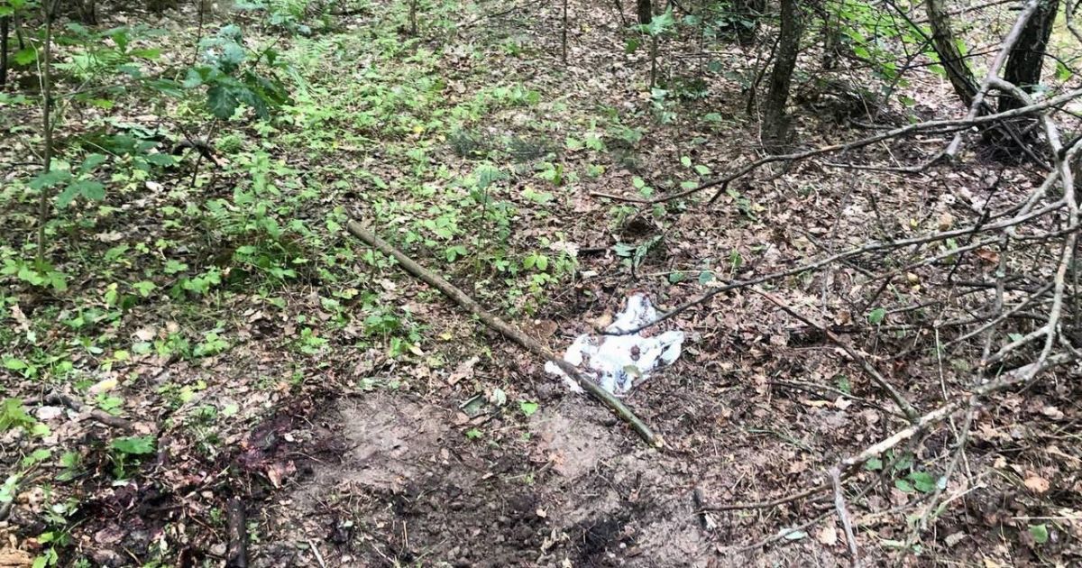 Під Києвом жінка пішла до лісу і підірвалась на окупантській міні
