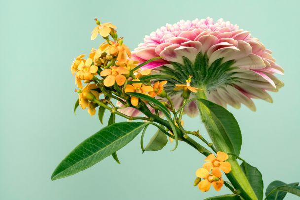 День ангела 5 июля – душевные поздравления в прозе / © Unsplash