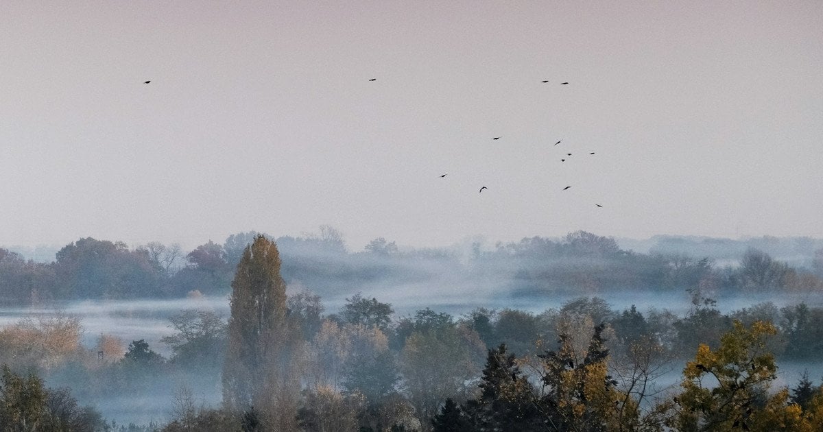 В Україні, крім східних областей, вночі та в першій половині дня туман