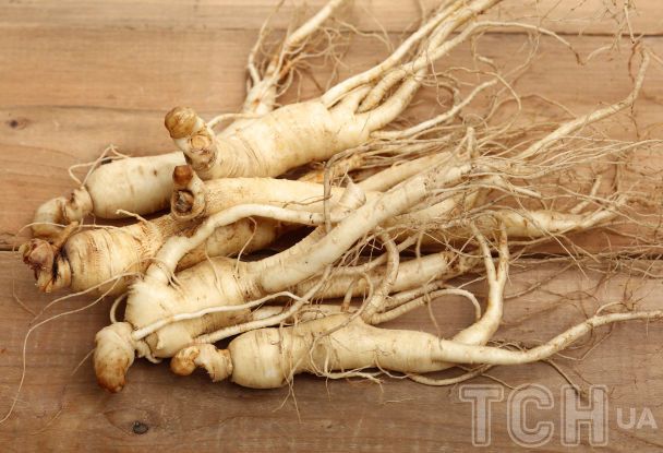 Женьшень — корінь молодості: як його застосовувати та які є протипоказання / © Credits