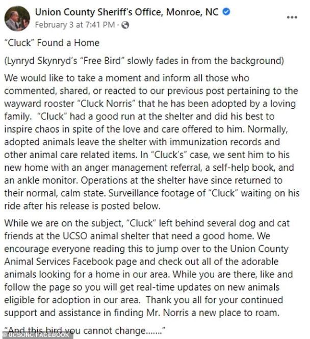  / © dailymail.co.uk