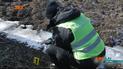 В Черновцах водитель сбил женщину, которая переходила дорогу по пешеходному переходу — потерпевшая погибла