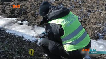 В Чернівцях водій збив жінку, яка переходила дорогу через пішохідний перехід — потерпіла загинула