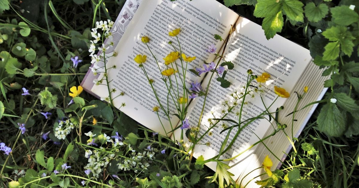 На що звернути увагу на "Книжковому Арсеналі". Підбірка видань