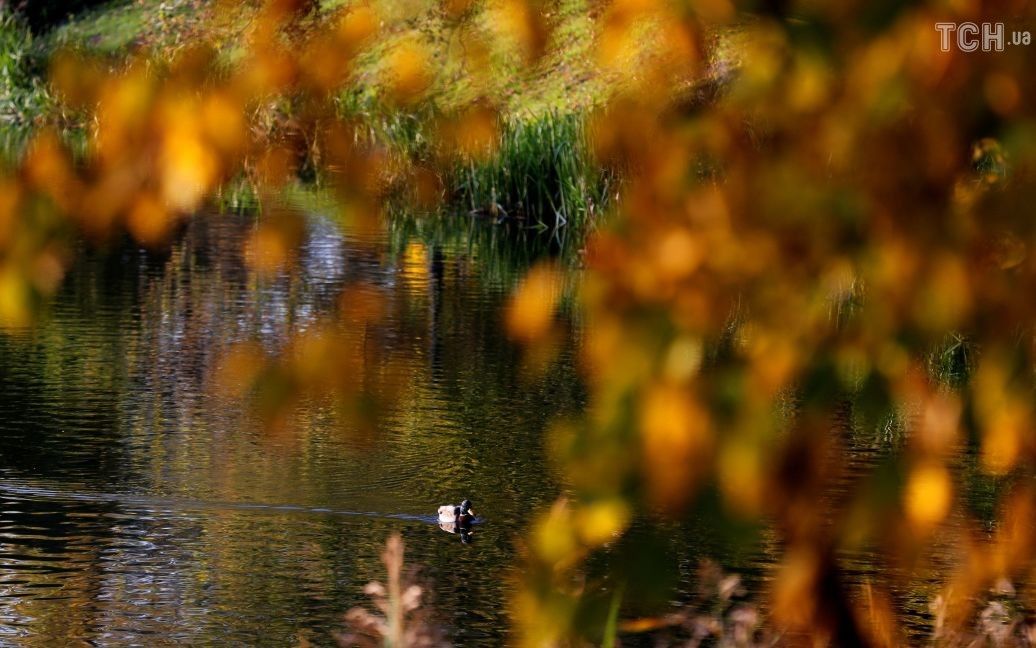 Осень в Беларуси / © Reuters