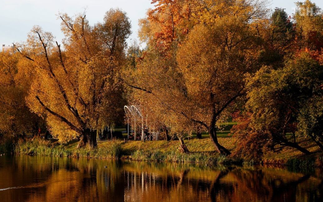 Осень в Беларуси / © Reuters