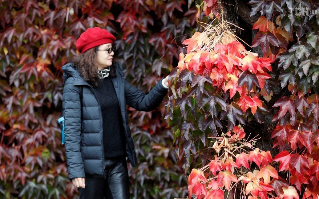 Осень в Шотландии / © Reuters