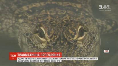 Під час вигулу собаки поблизу ставка жінку покусав алігатор у США