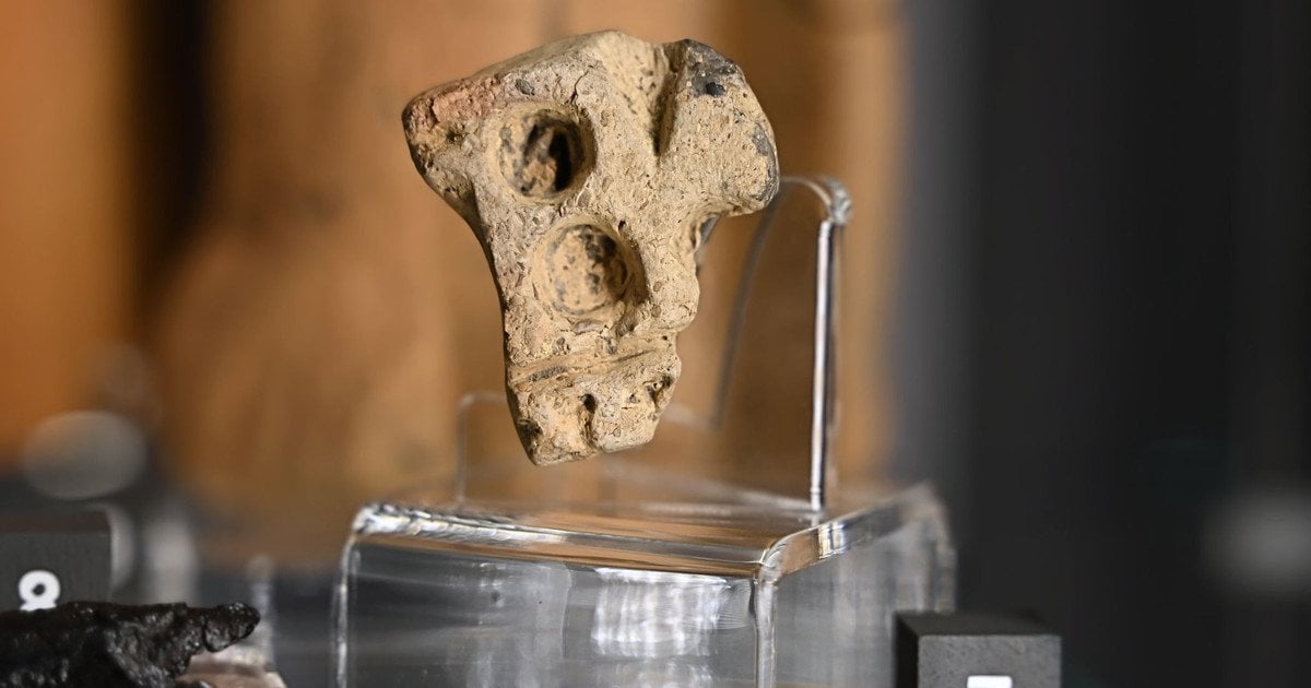 Таємниця залізної доби: в Польщі виявили унікальний 2500-річний артефакт