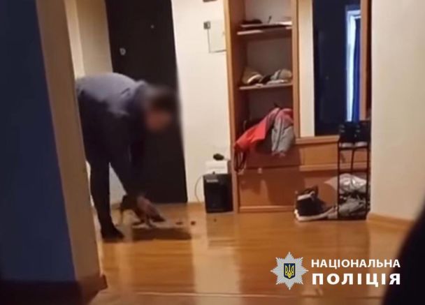 Издевательство над псом