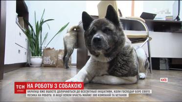 "Візьми собаку на роботу". Українські компанії приєдналися до всесвітньої ініціативи