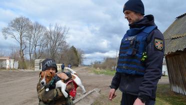 Розмінування у селі Шестовиця Чернігівської області / © Facebook/ ДСНС України