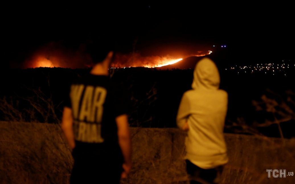 Пожар в национальном парке в Португалии / © Reuters