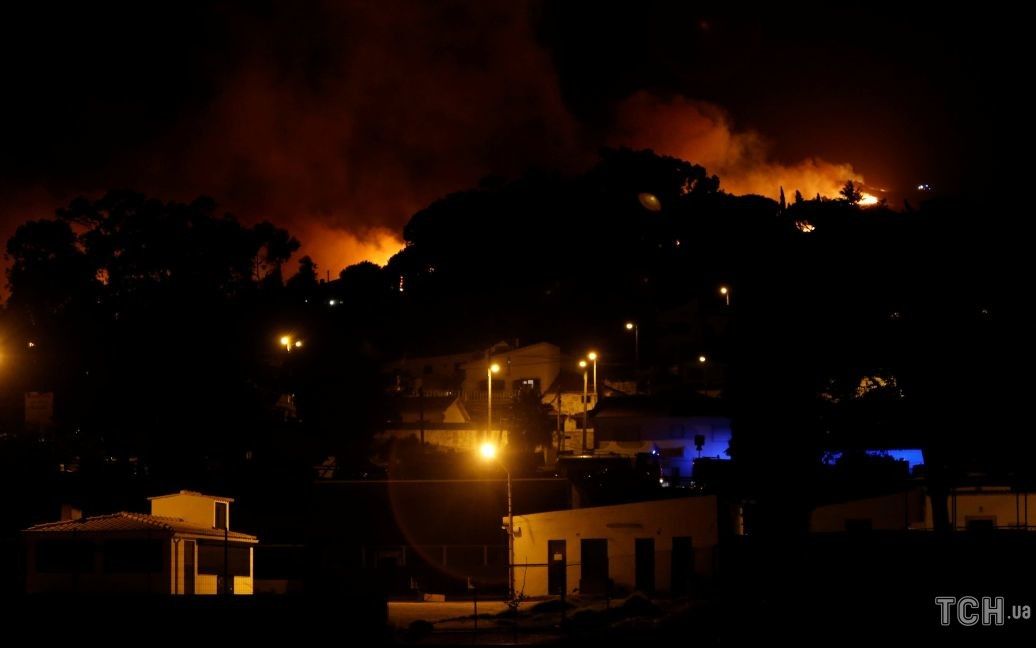 Пожар в национальном парке в Португалии / © Reuters