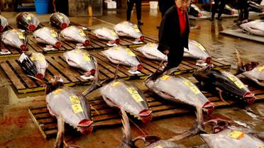 Ринок морепродуктів у Токіо_01 / © Reuters