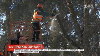 В столице для коммунальщиков провели мастер-класс по обрезке деревьев