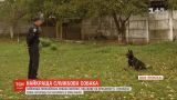 Собачья служба: как тренируют лучшего полицейского пса Украины