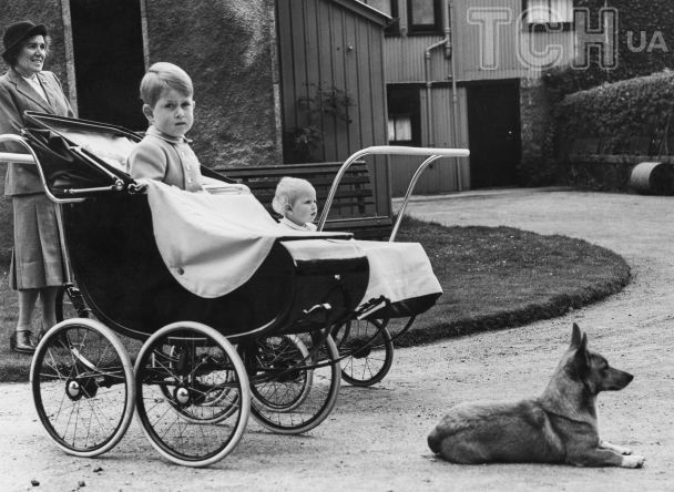 Принц Чарльз и его сестра принцесса Анна, 1951 год / © Getty Images